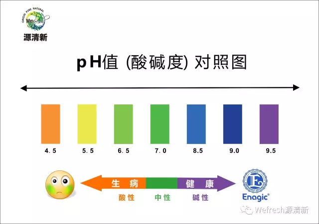 酸性体质吃什么