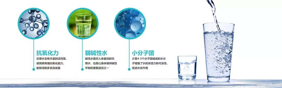 Enagic Kangen water电解还原水®的作用